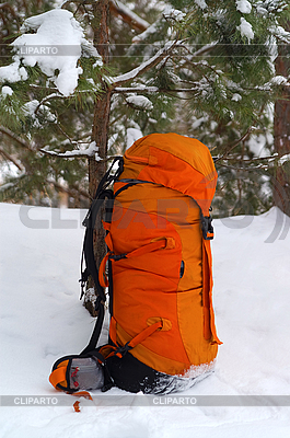Mochila nieve en bosque | Foto de alta resolución |ID 3119245