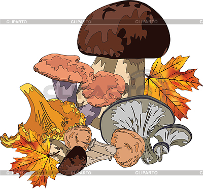 Otoño bodegón | Ilustración vectorial de stock |ID 3365902