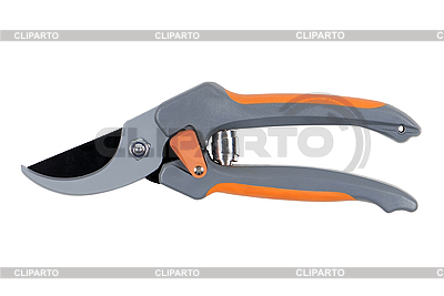 Hierba cortante | Foto de alta resolución |ID 3124447