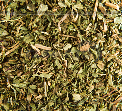 Yerba Mate | Foto de alta resolución |ID 3291669