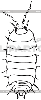 Woodlouse - Dibujo blanco y negro | Ilustración vectorial de stock |ID 3290958