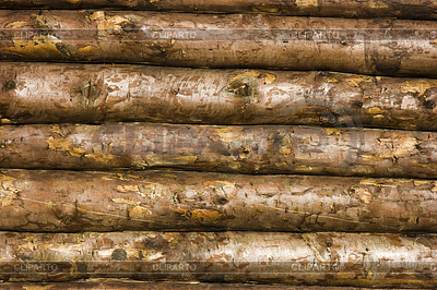 Aufbau der Holzwand | Foto mit hoher Auflösung |ID 3214838