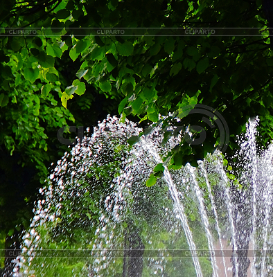 Fountain on background of green leaves | High resolution stock photo |ID 3323278