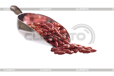 Pala de frijoles | Foto de alta resolución |ID 3358081