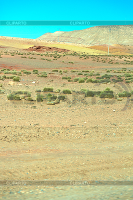 Arbusto de color marrón en el valle de montaña marruecos áfrica | Foto de alta resolución |ID 5290013